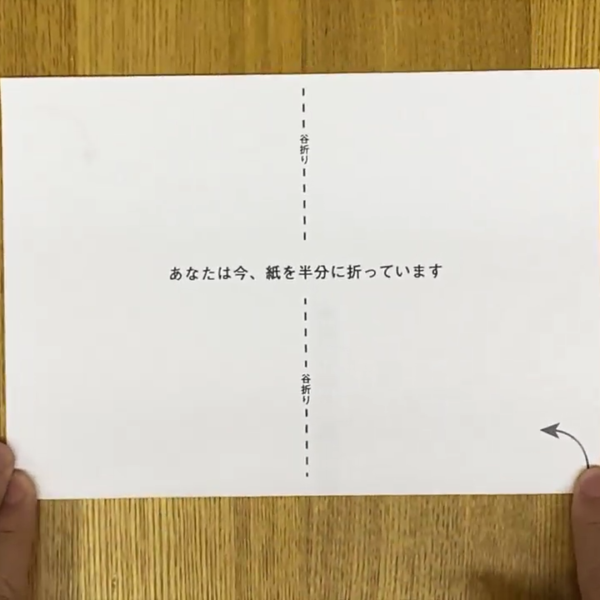あなたは今、紙を半分に折っています （2020）