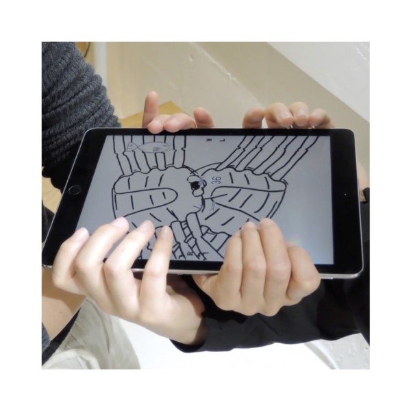 蟹と蟹の錯覚(対戦、からだは戦場だよ2018Δ)