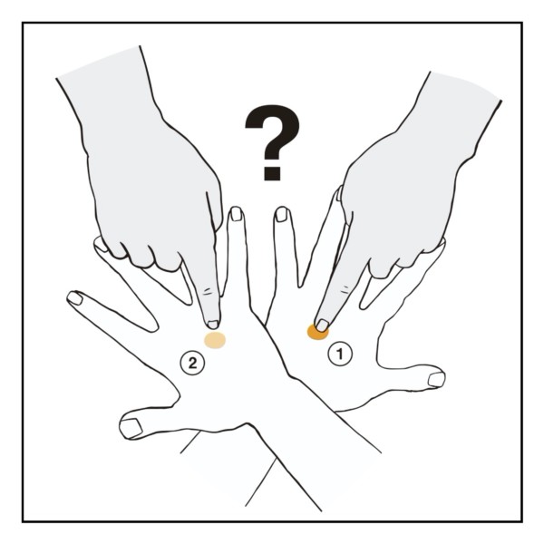 ととんの錯覚(主観ドローイング)